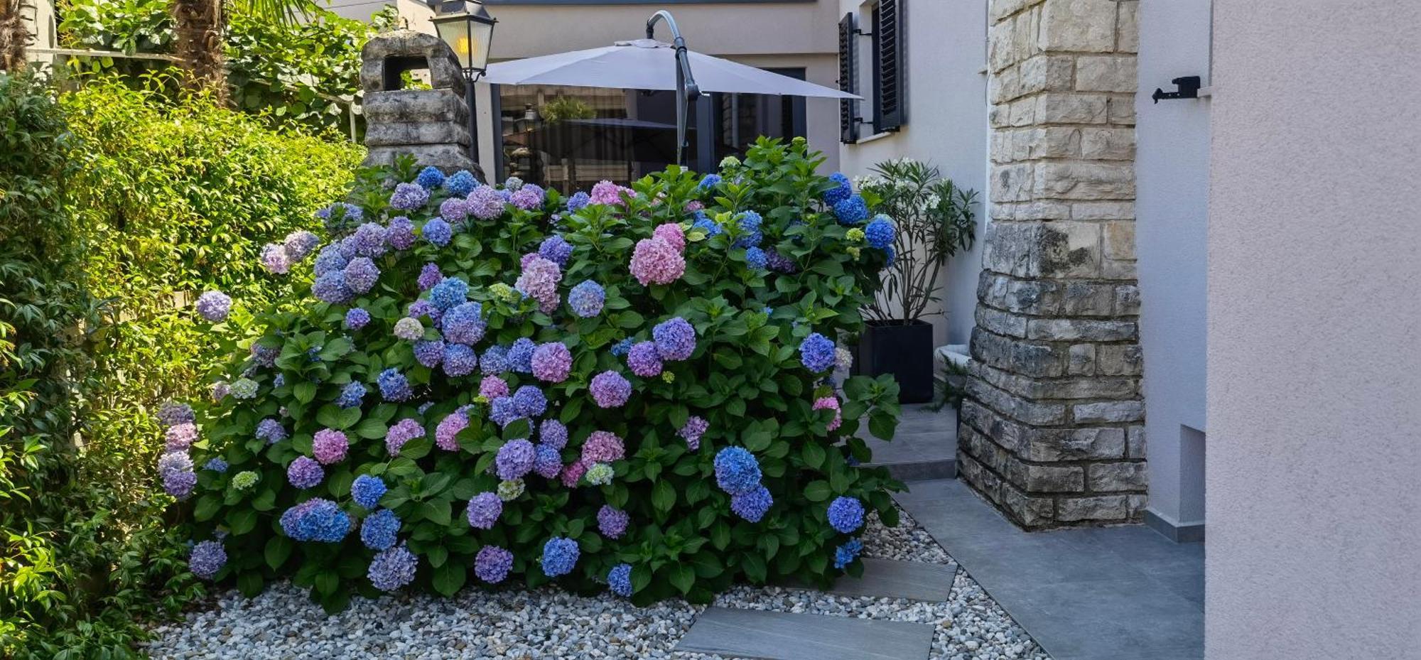 Stay In The Very Heart Of Porec - 50M To The Beach Extérieur photo